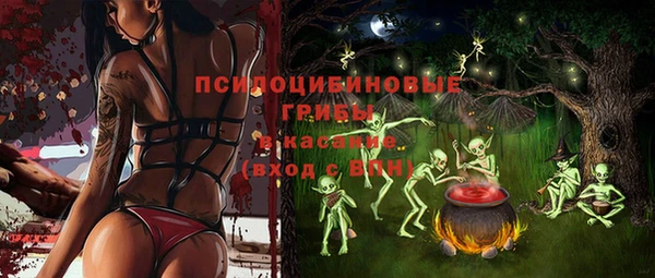 амф Арсеньев