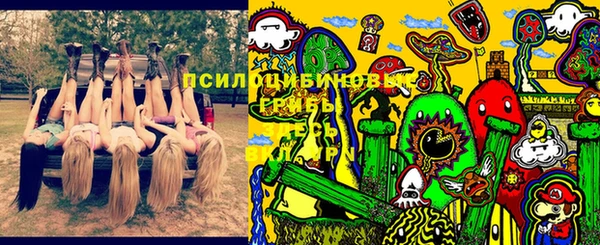 альфа пвп Армянск