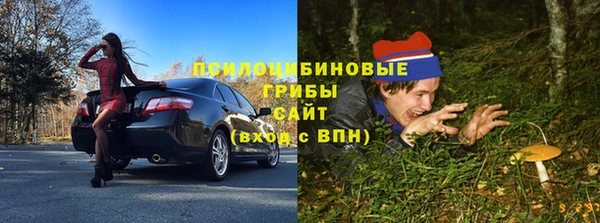 альфа пвп Армянск