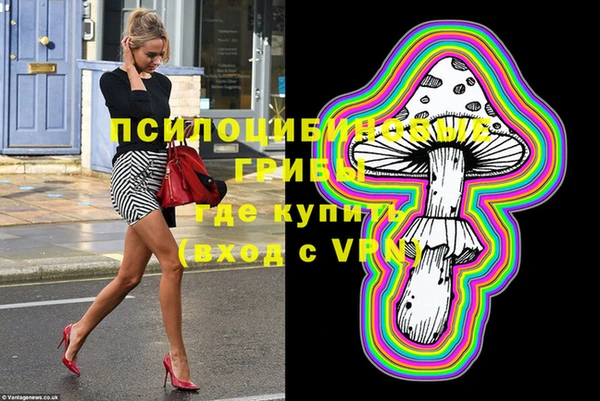 мдпв Рославль