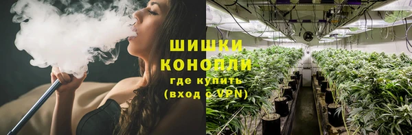 мдпв Рославль