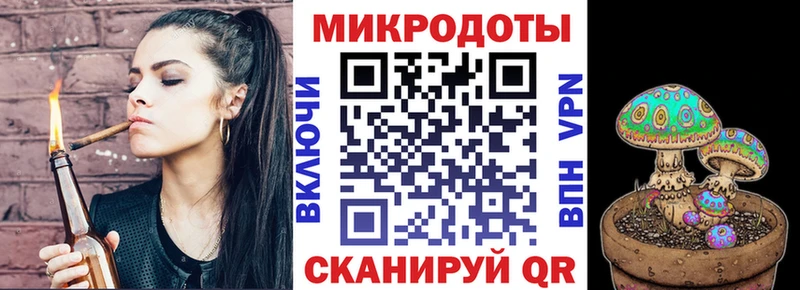 Галлюциногенные грибы Psilocybe Микунь
